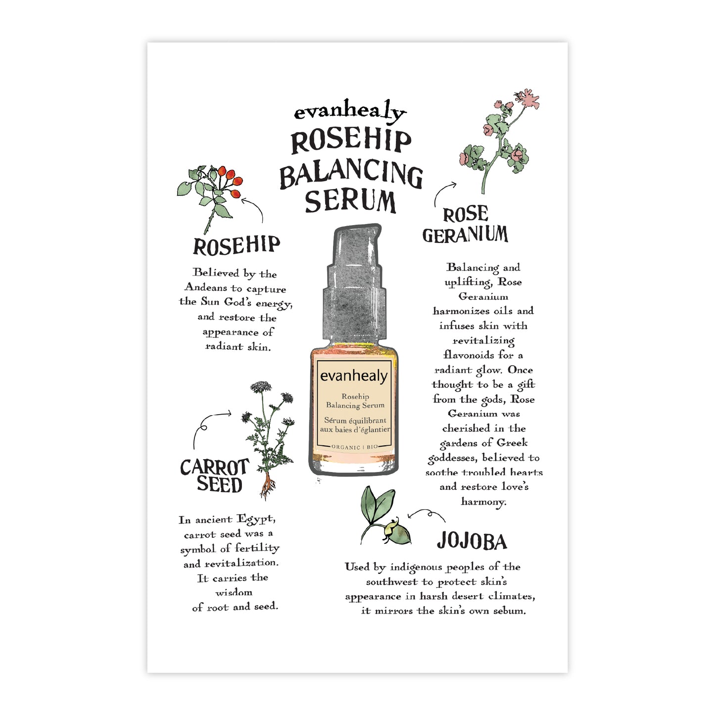 Rosehip Balancing Serum folklore card describing rosehip, carrot seed, and jojoba oils