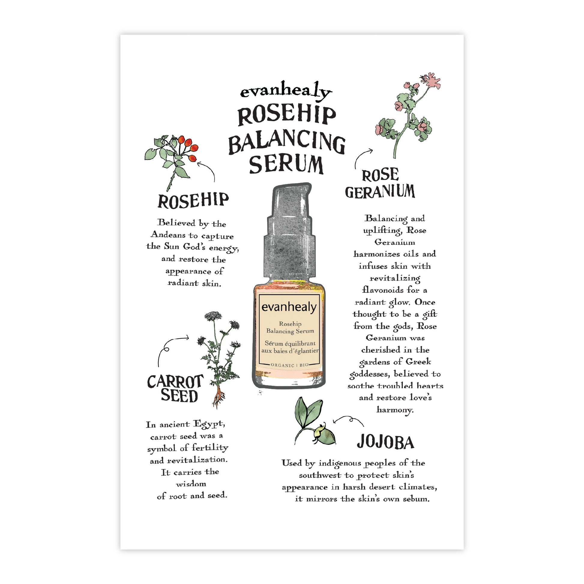 Rosehip Balancing Serum folklore card describing rosehip, carrot seed, and jojoba oils