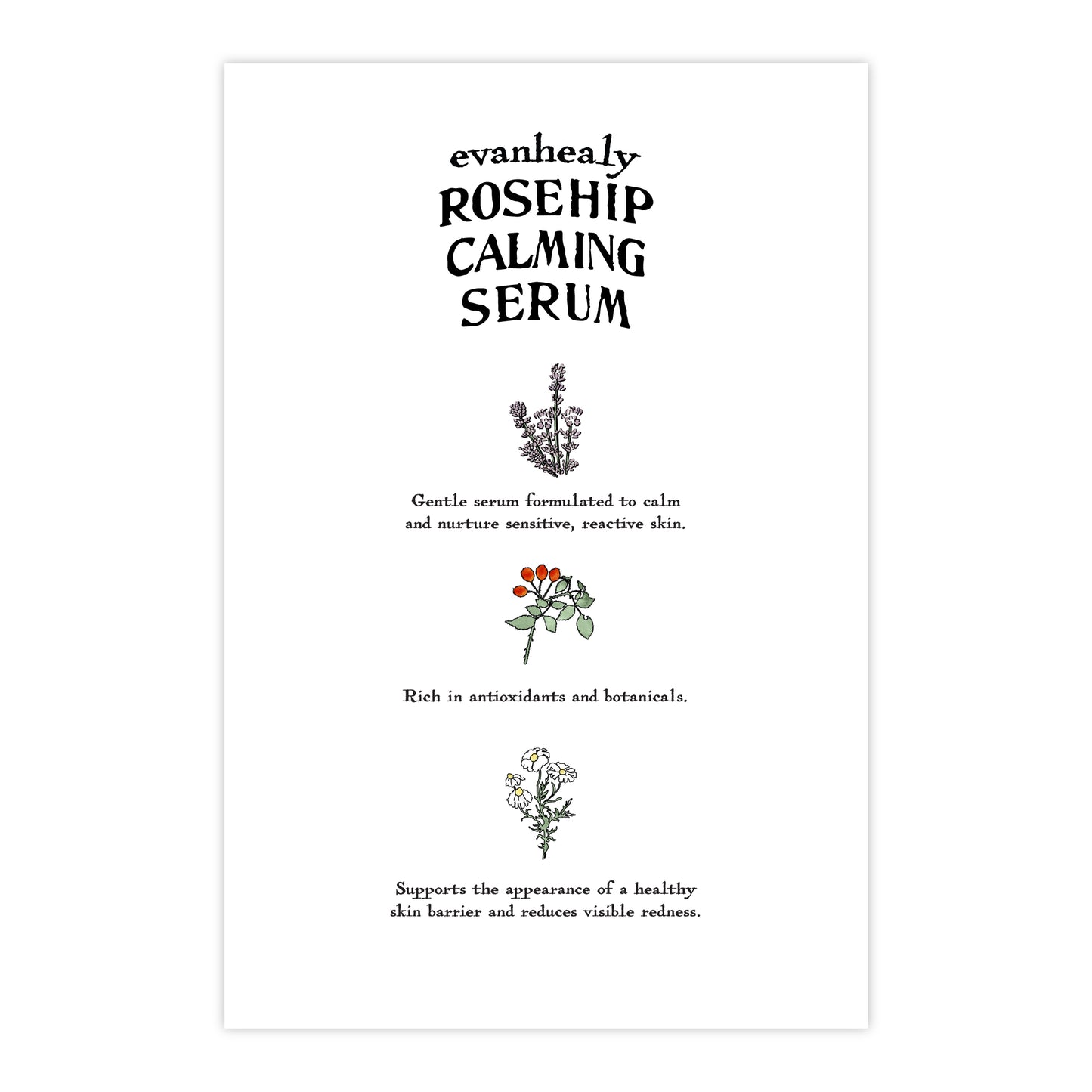 Back view of 4x6 Rosehip Calming Serum folklore postcard showcasing botanical illustration and printed text on white background