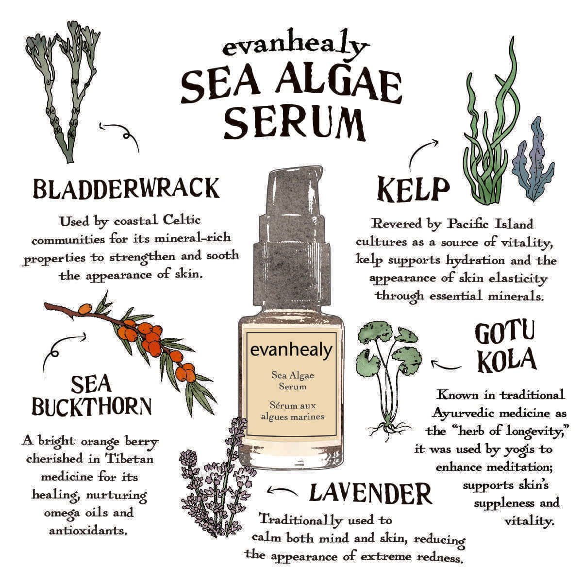 Sea Algae Serum