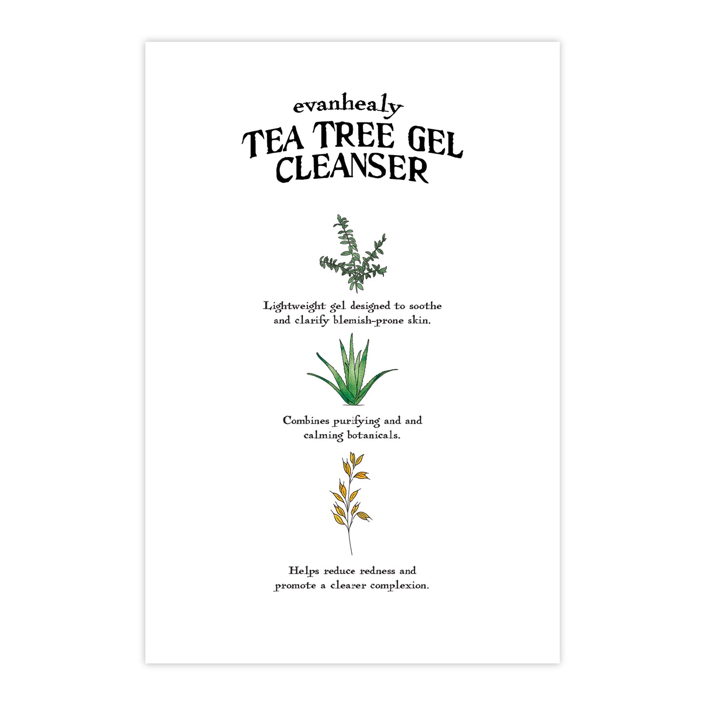 Back view of 4x6 Tea Tree Gel Cleanser Folklore postcard with botanical illustrations on a white background