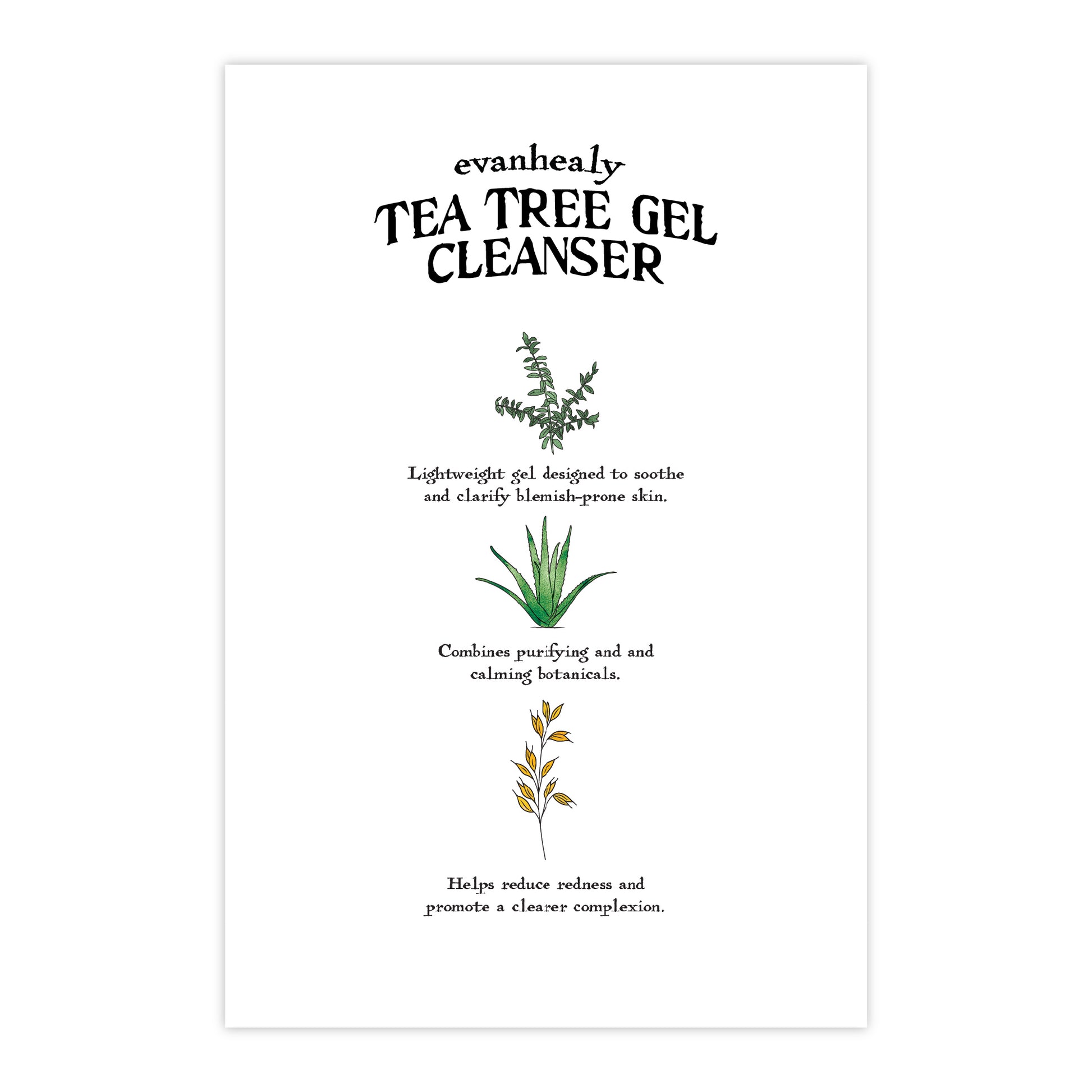 Back view of 4x6 Tea Tree Gel Cleanser Folklore postcard with botanical illustrations on a white background