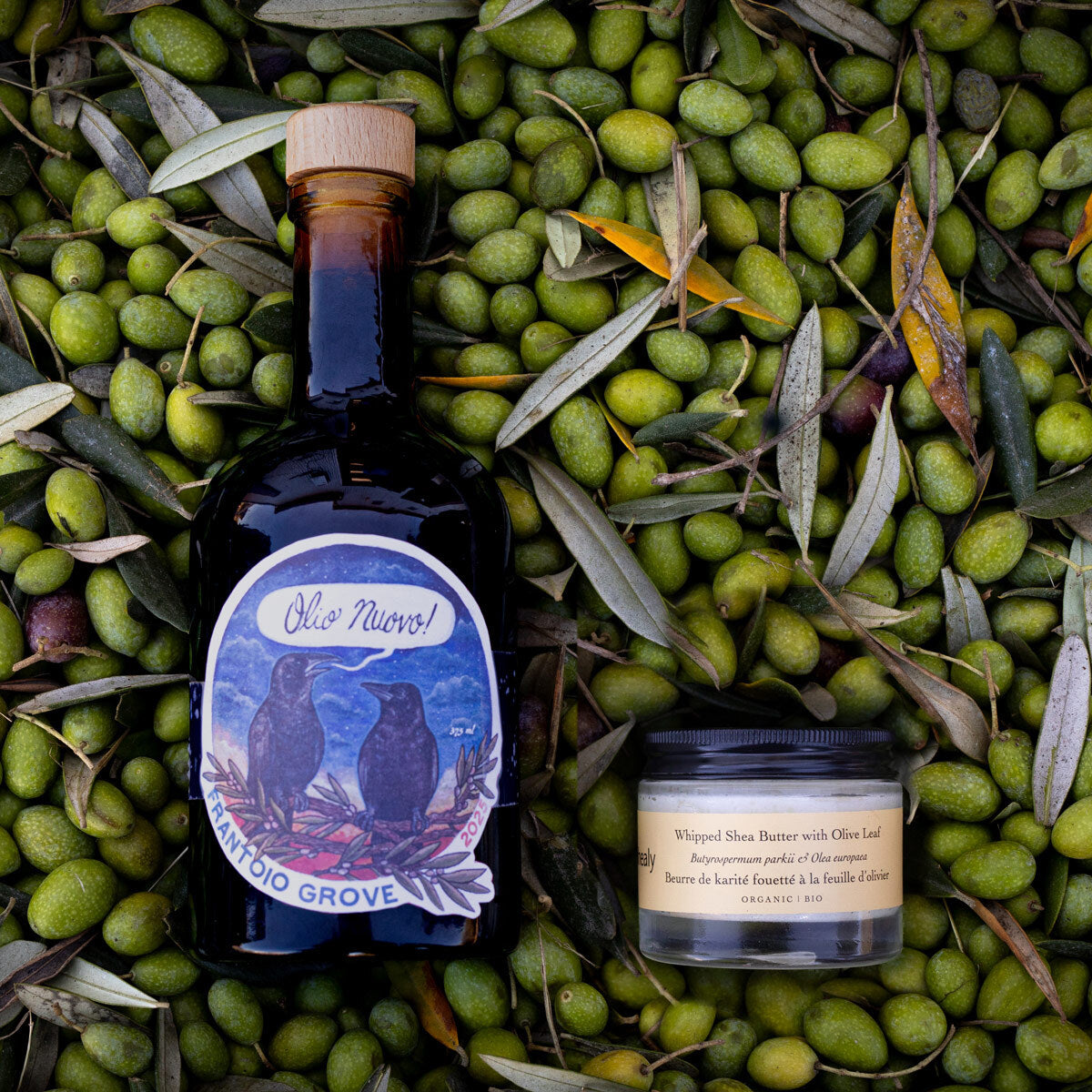 A Regenerative Olive Ritual: For Skin & Table