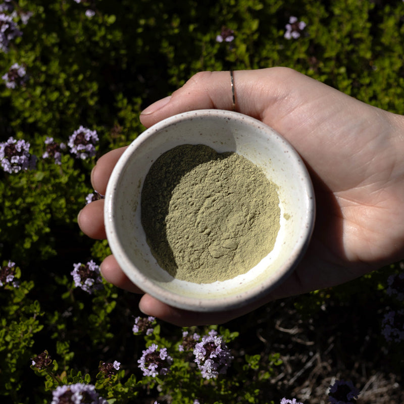 Top-down view of Green Tea Clay Mask powder in a small ceramic bowl held in a hand, sunlit garden background