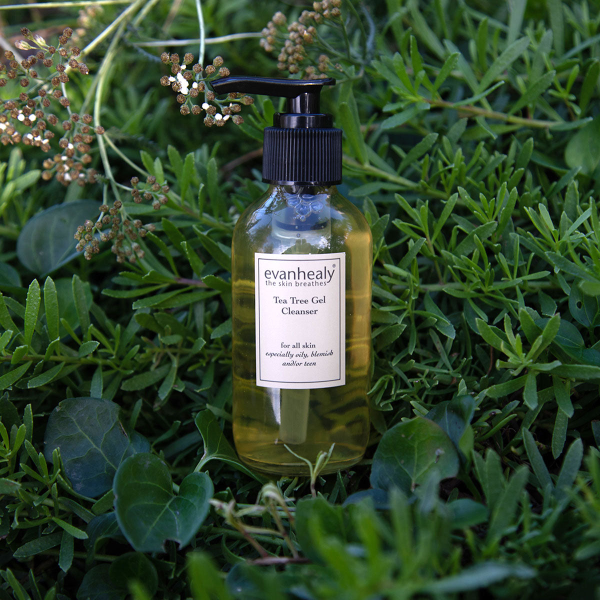 tea tree gel cleanser for face ideal for oily combination blemished skin