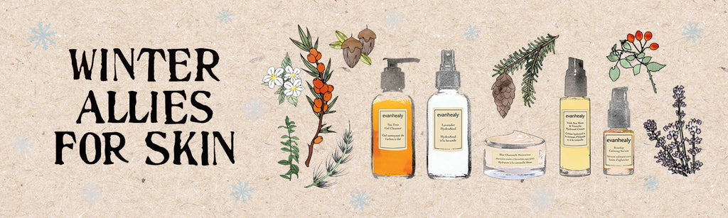 Promotional banner showing ‘WINTER ALLIES FOR SKIN’ with illustrated evanhealy skincare bottles, a jar, and winter botanicals