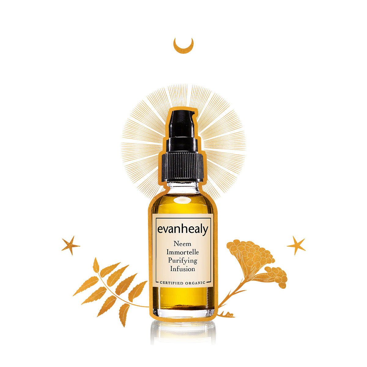evanhealy neem immortelle purifying infusion oil serum gilded graphic