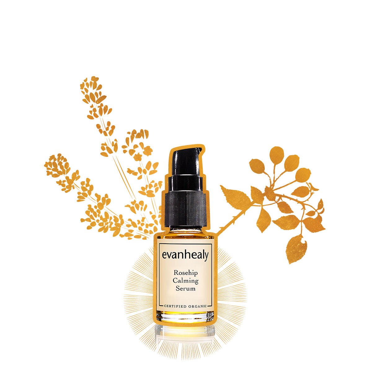 evanhealy rosehip calming facial oil serum for sensitive skin gilded graphic