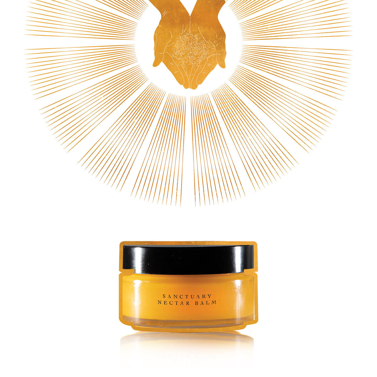 evanhealy sanctuary nectar balm essential oil free facial moisturizer gilded graphic