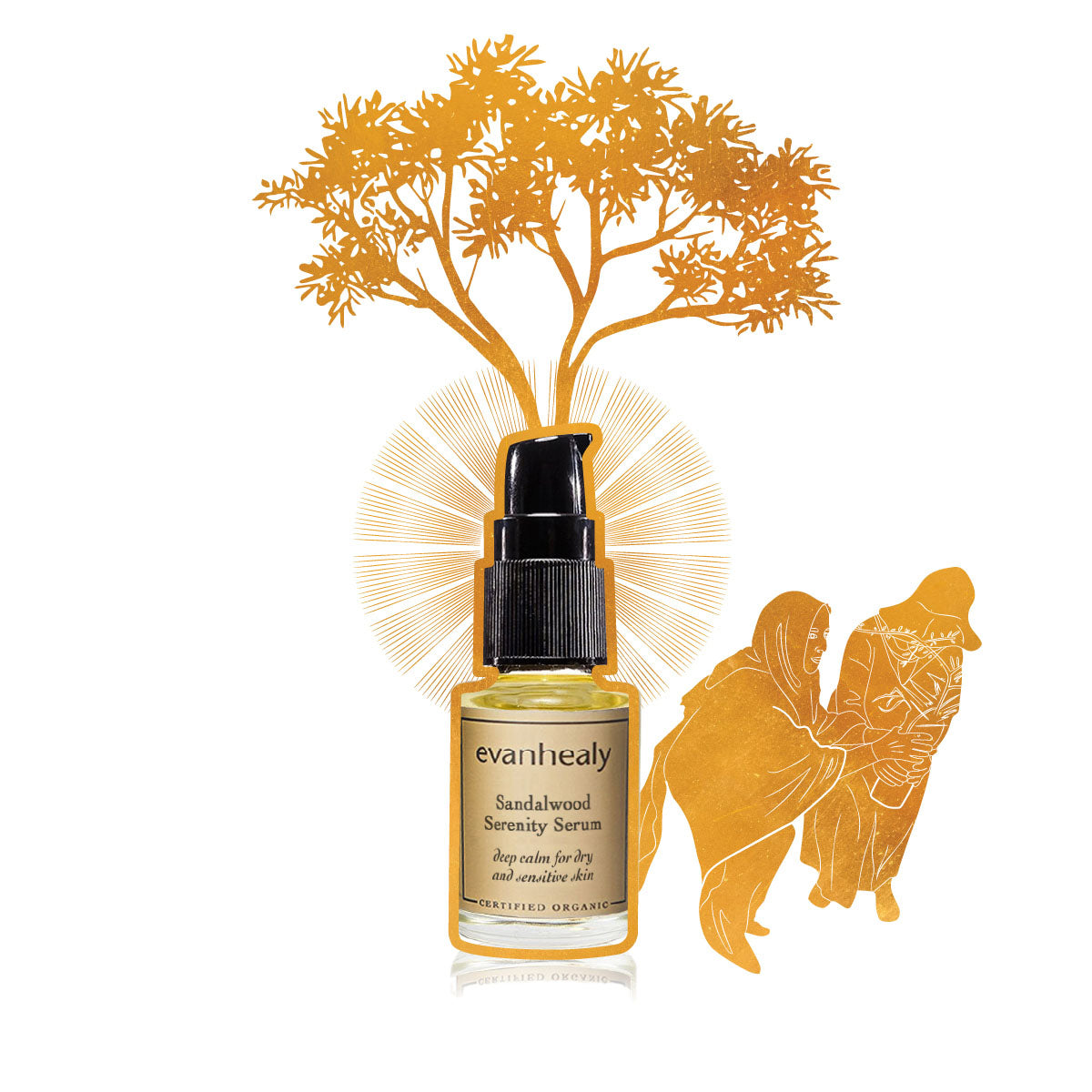 evanhealy sustainable sandalwood serenity serum facial oil for face gilded graphic