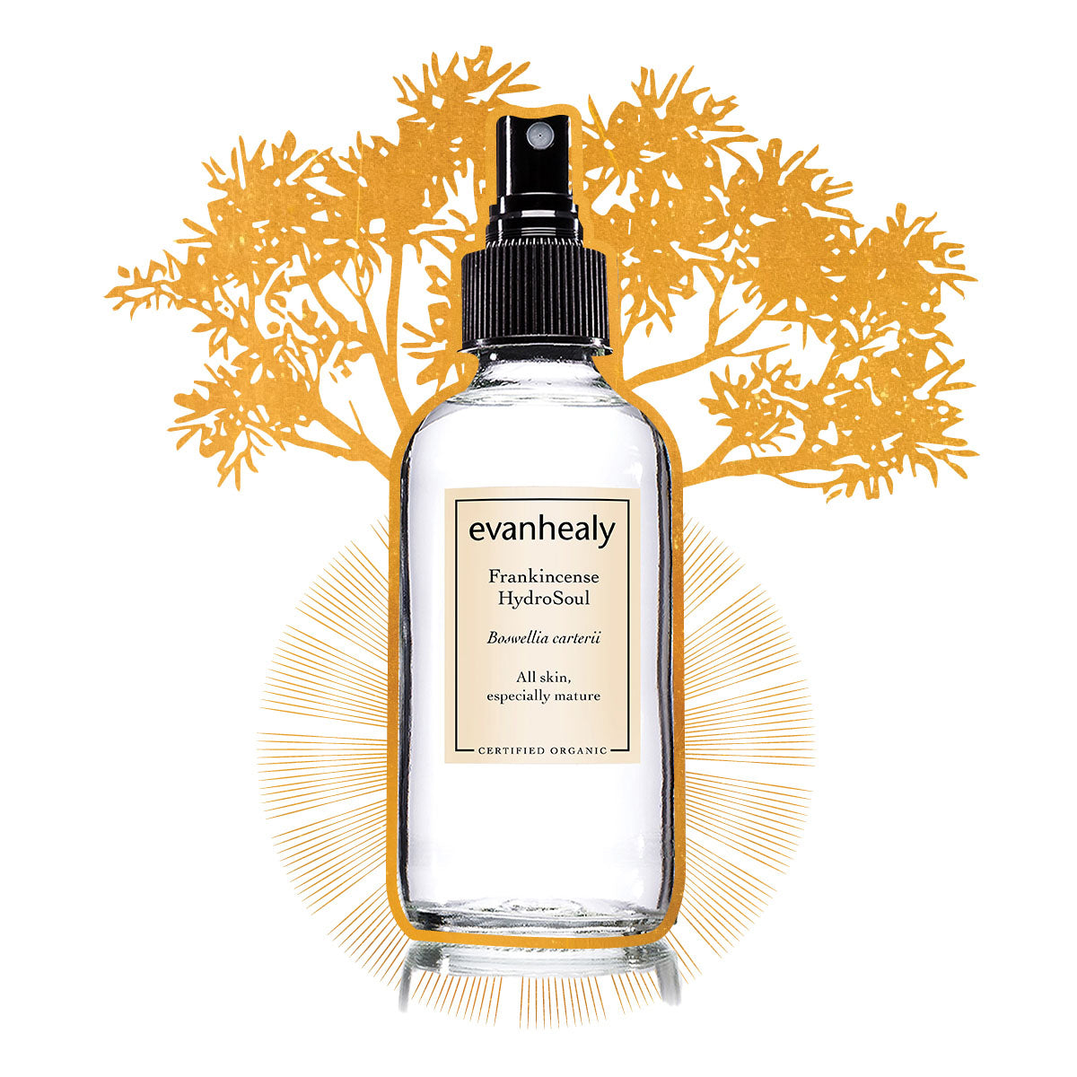 evanhealy frankincense facial tonic hydrosol gilded graphic