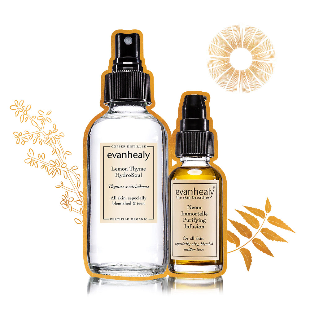 Purifying Skin Care for Clogged Pores & Blemishes | evanhealy