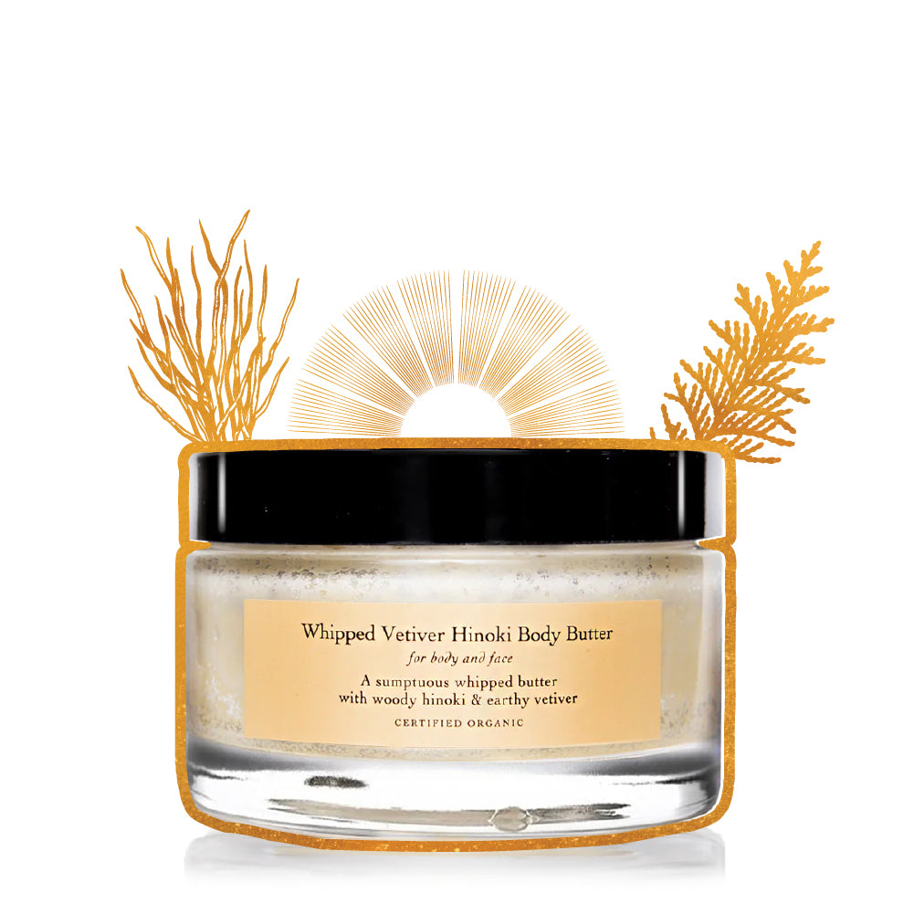 evanhealy whipped vetiver hinoki body butter moisture cream gilded