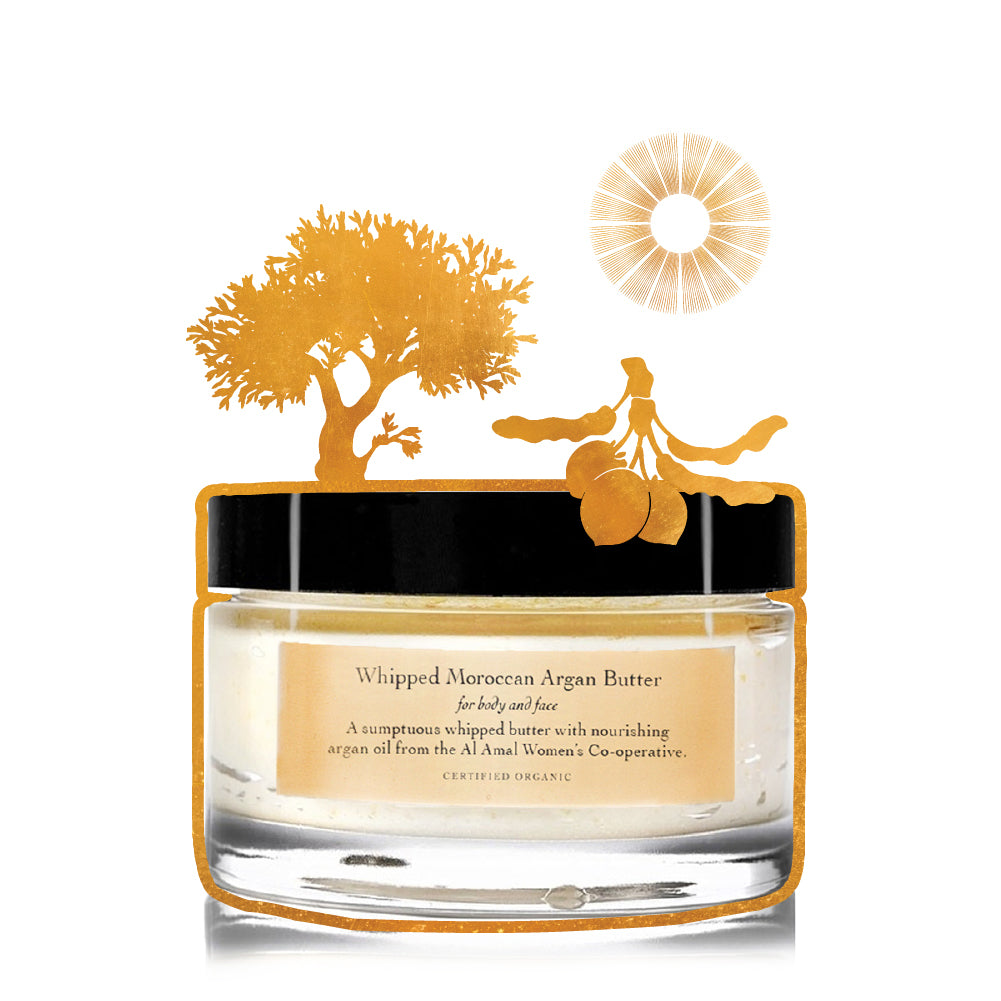 evanhealy whipped moroccan argan butter for face and body moisture cream gilded