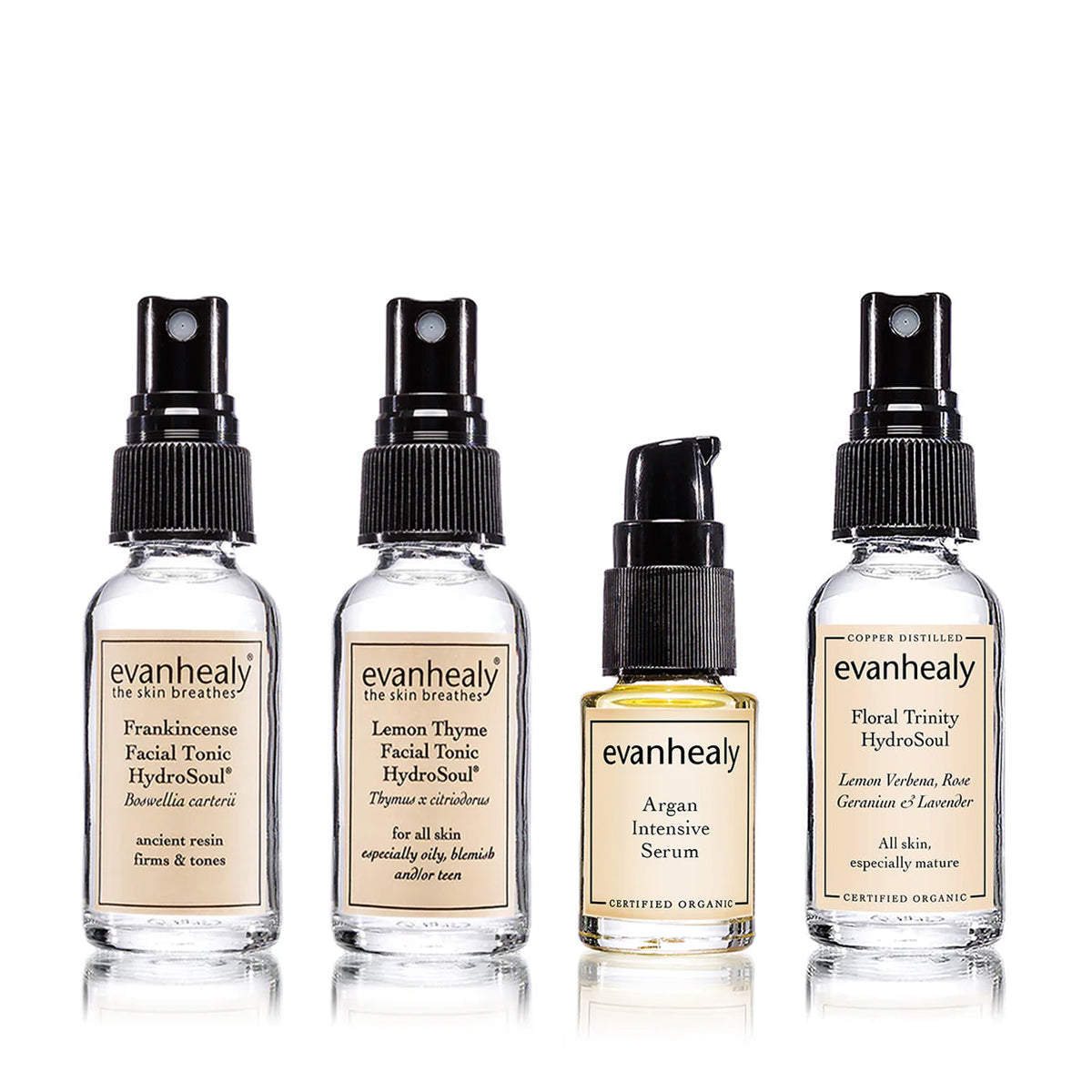 Gifts from our Regenerative Garden