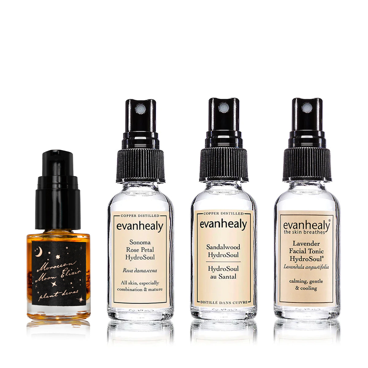 Gifts from our Regenerative Garden