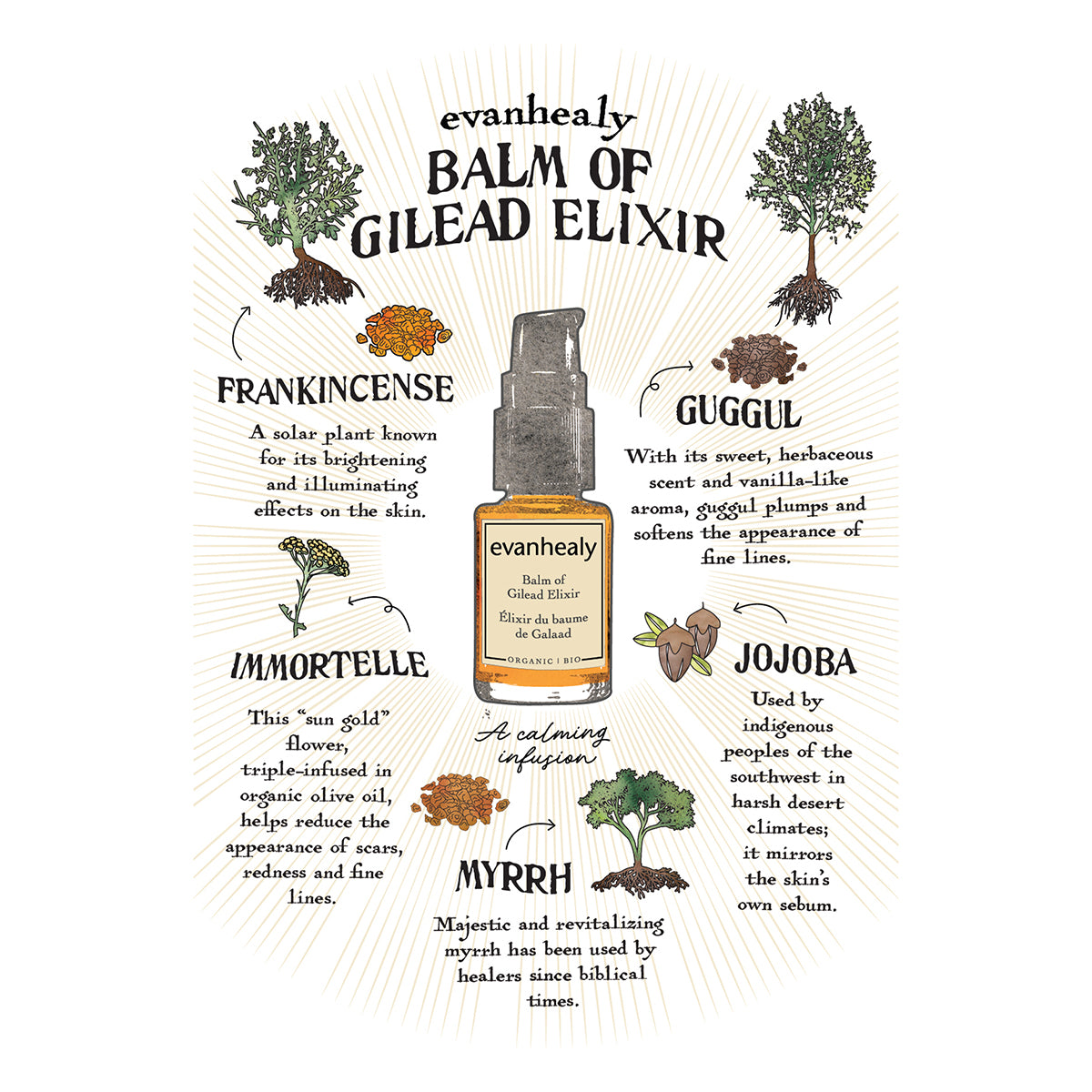 Balm of Gilead Elixir