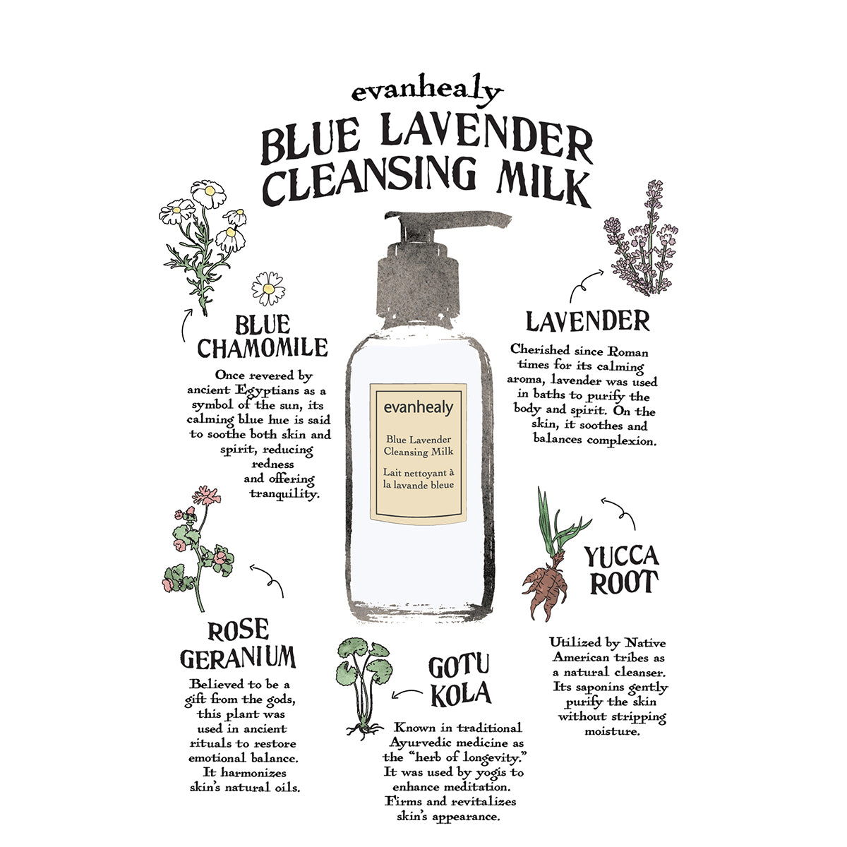 Blue Lavender Cleansing Milk Folklore Card