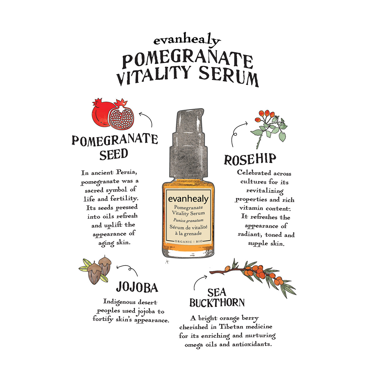 Pomegranate Vitality Serum Folklore Card