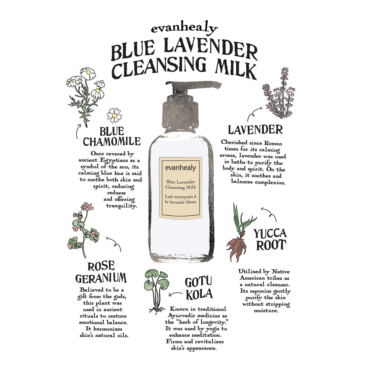 Blue Lavender Cleansing Milk