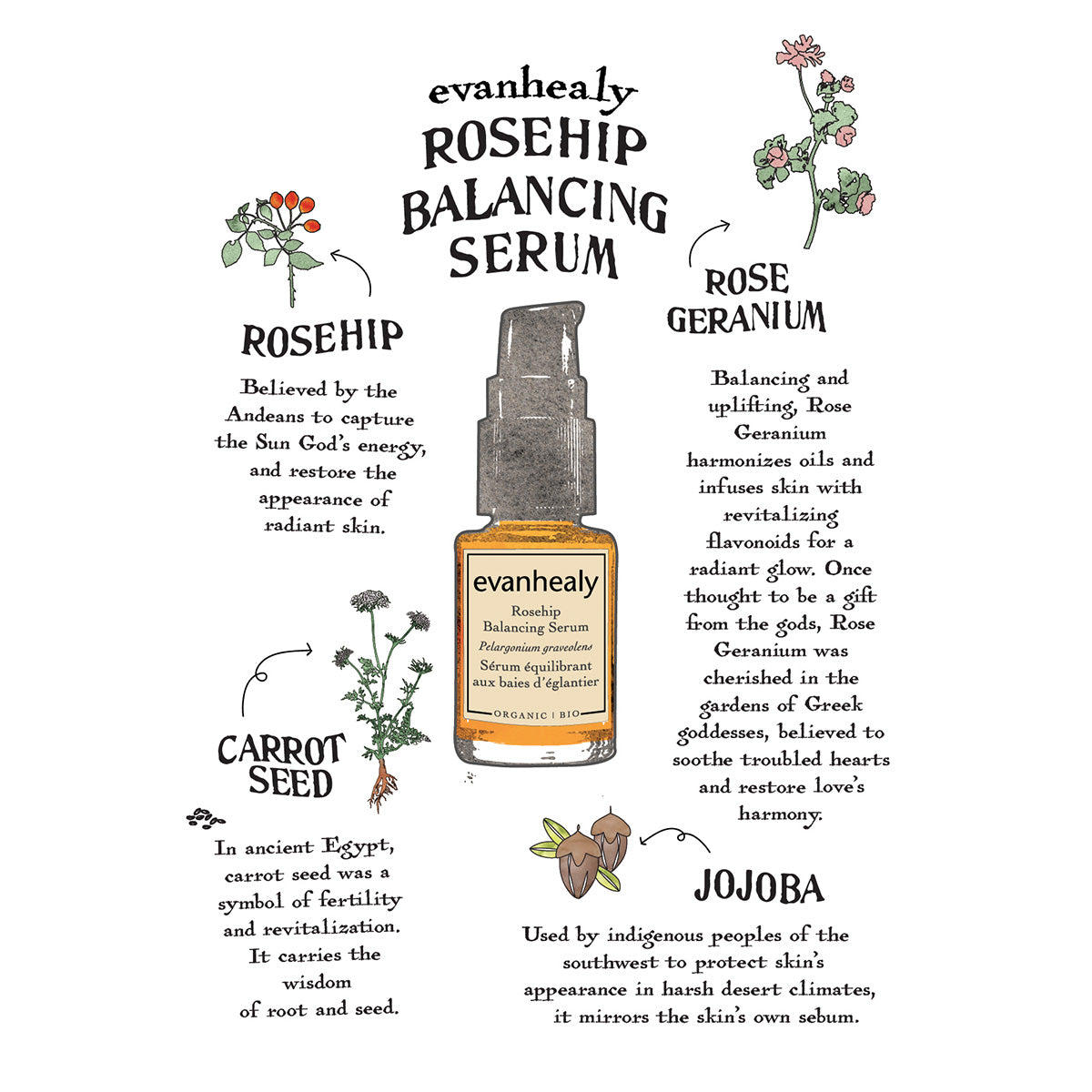 Rosehip Balancing Serum