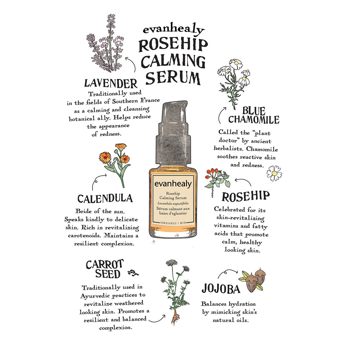 Rosehip Calming Serum