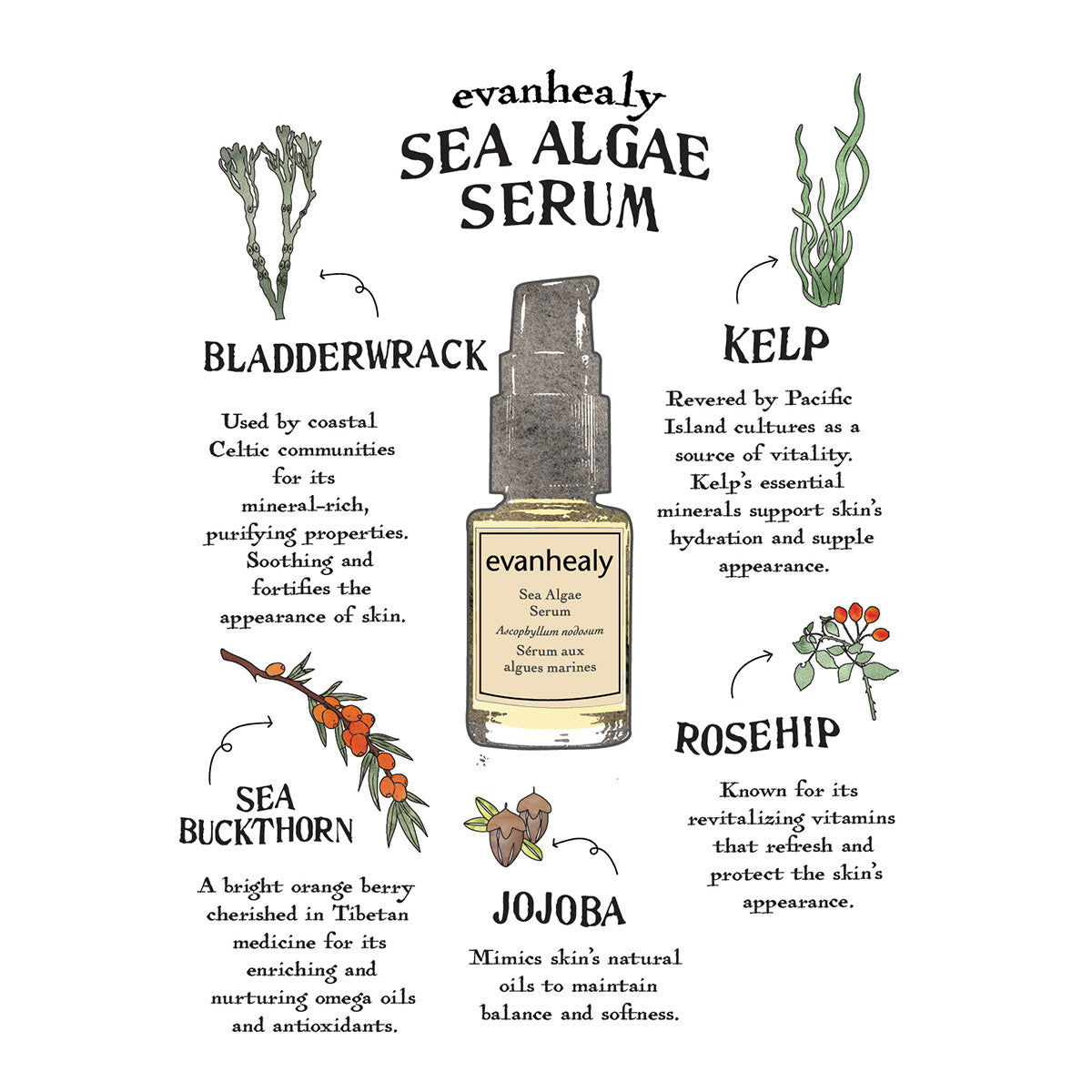 Sea Algae Serum