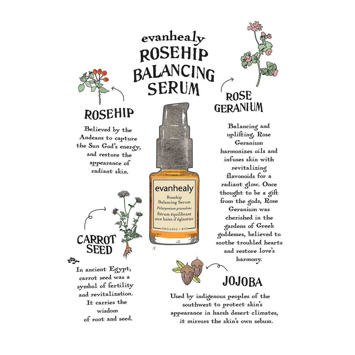 Rosehip Balancing Serum Folklore Card