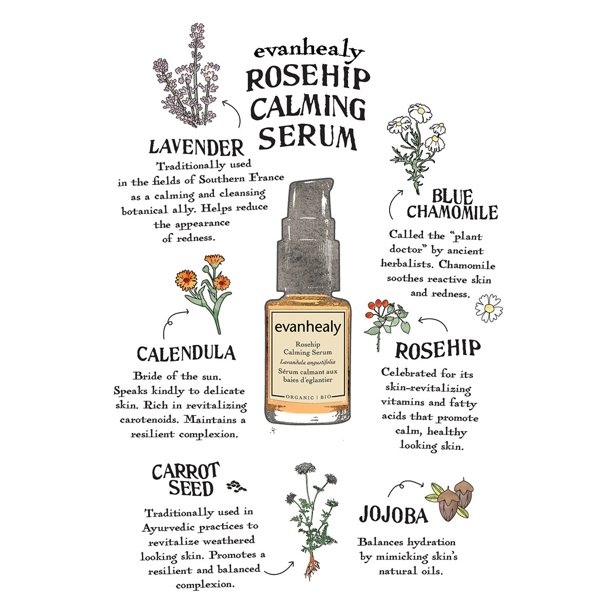 Rosehip Calming Serum Folklore Card