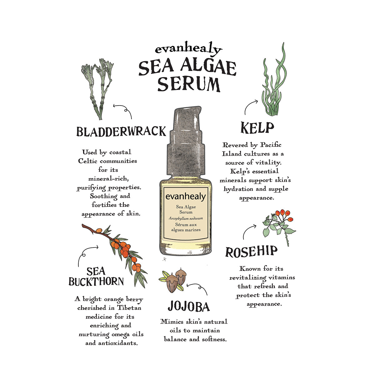 Sea Algae Serum Folklore Card