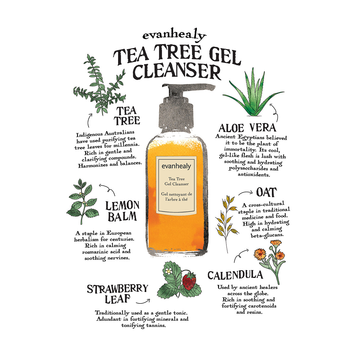 Tea Tree Gel Cleanser Folklore Card