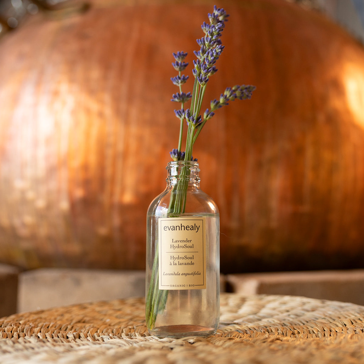 Lavender Hydrosol Organic Facial Tonic Copper Distilled | evanhealy