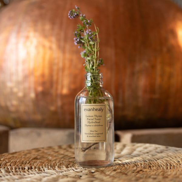 Lemon Thyme Hydrosol Organic Facial Tonic | evanhealy