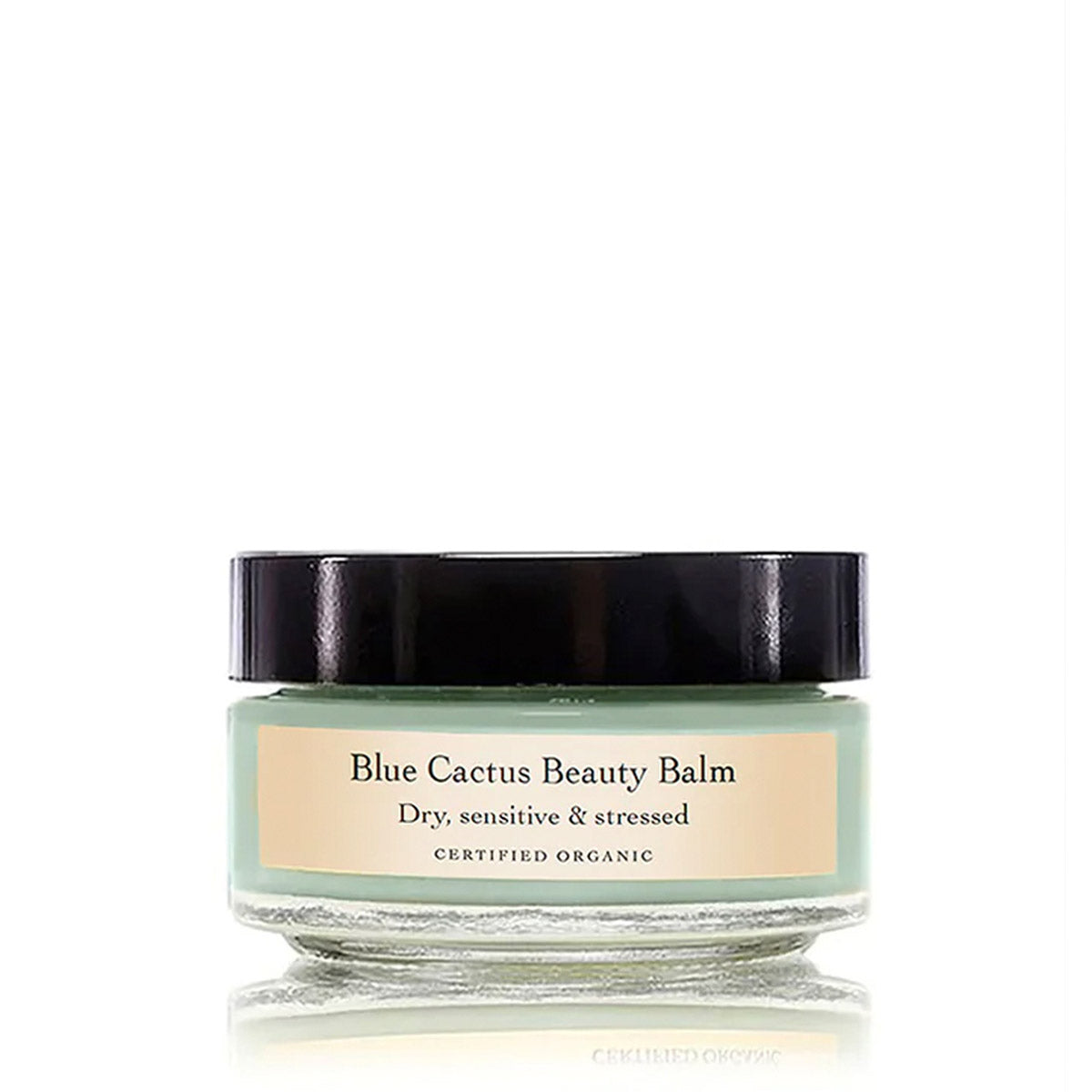 Blue Cactus Beauty Balm