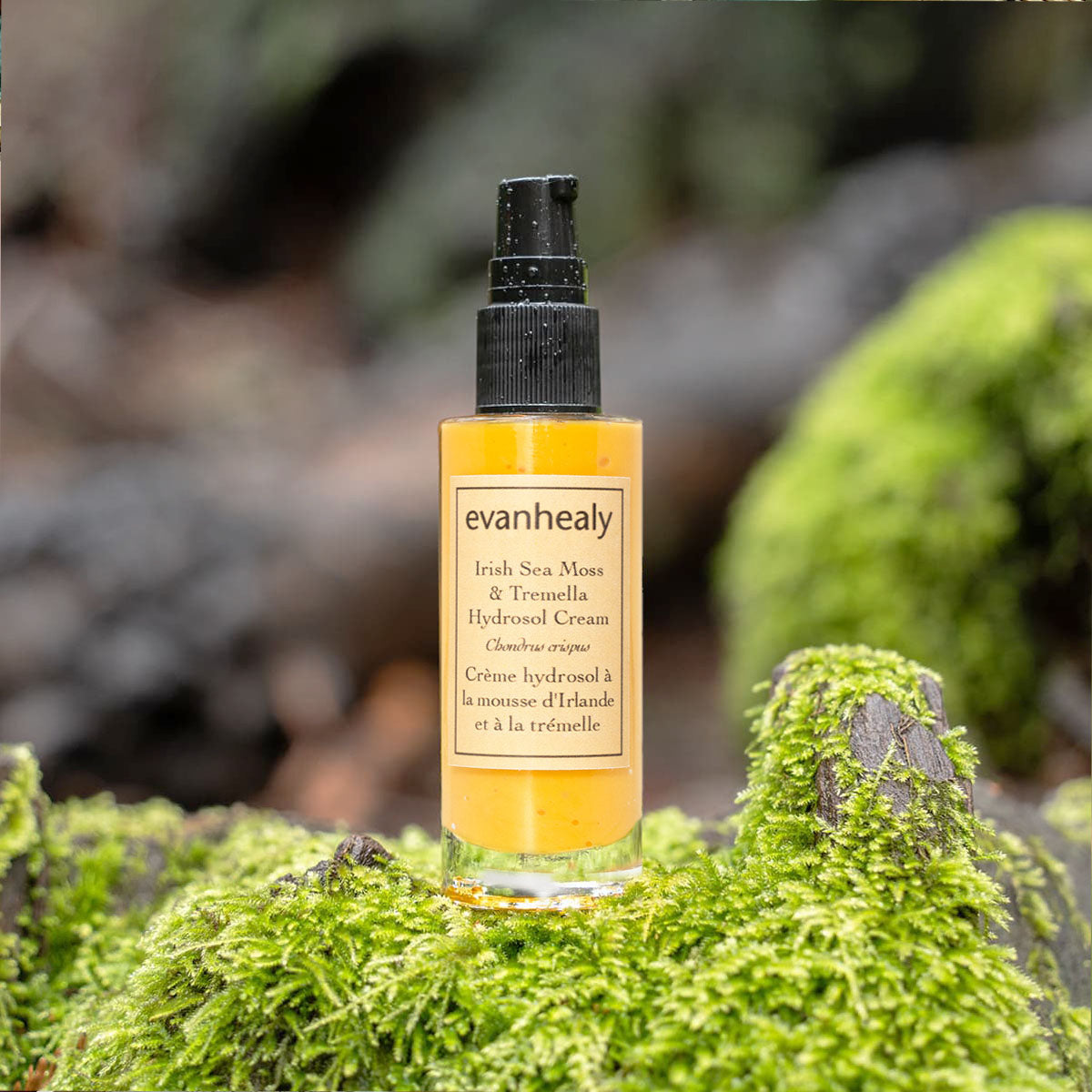Irish Sea Moss & Tremella Hydrosol Cream | evanhealy