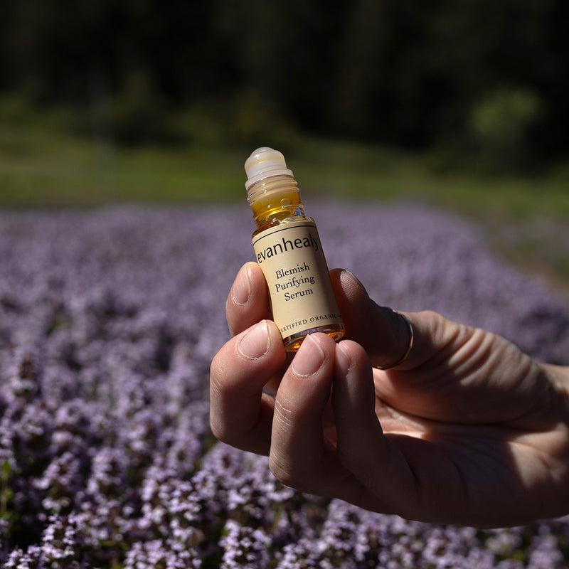 Hand holding an evanhealy Blemish Purifying Serum roll-on bottle over a field of purple flowers