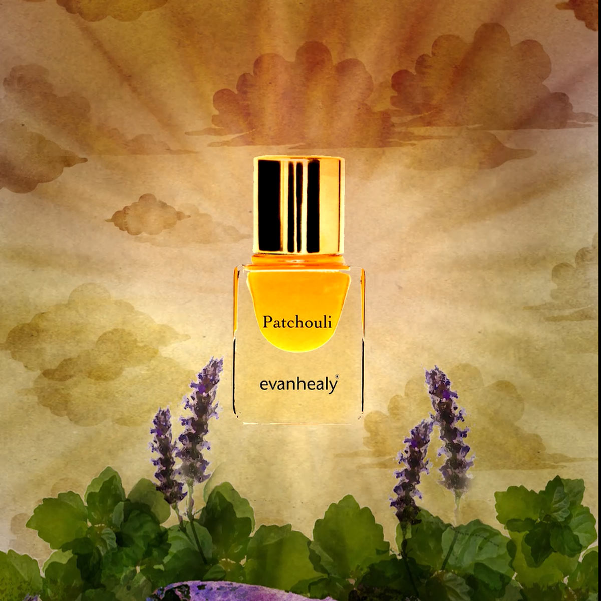 patchouli essential oil perfume illustration