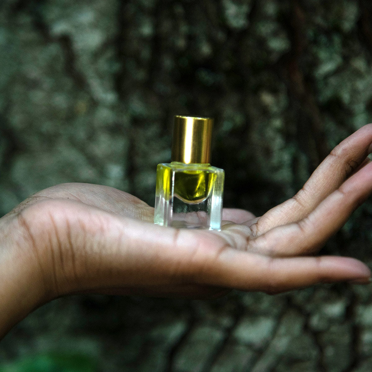 sandalwood perfume in palm of hand in nature