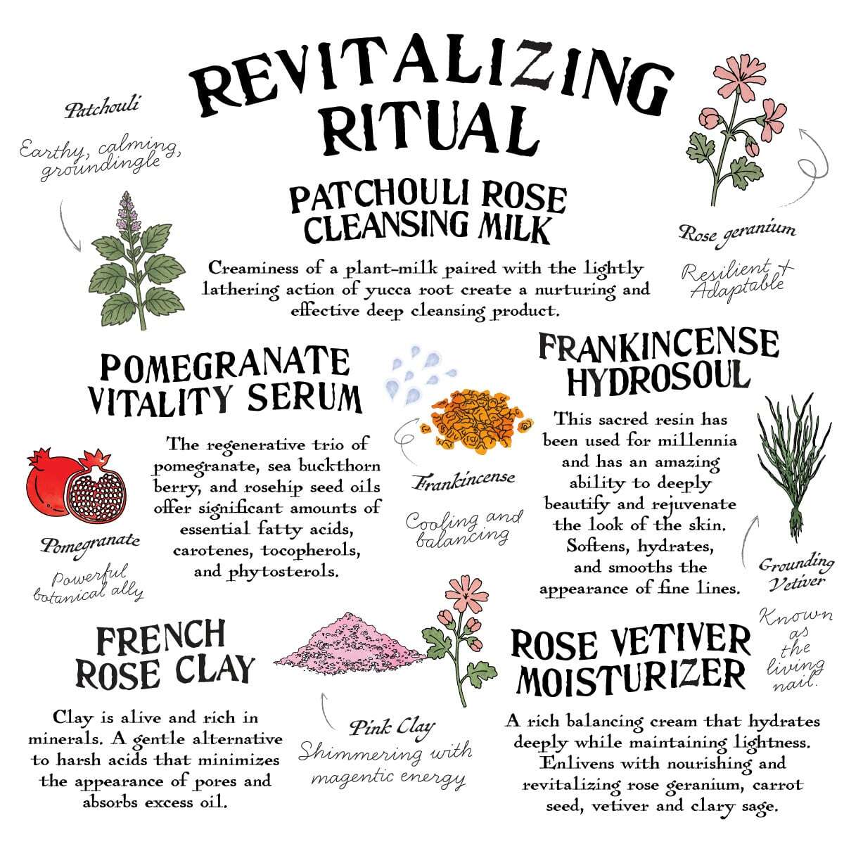 Revitalizing Starter