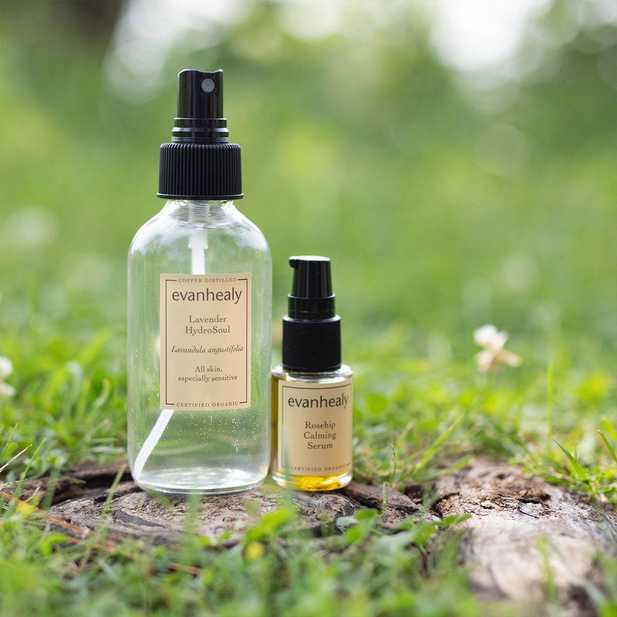 oil and water calming ritual lavender hydrosol face toner and rosehip calming oil serum