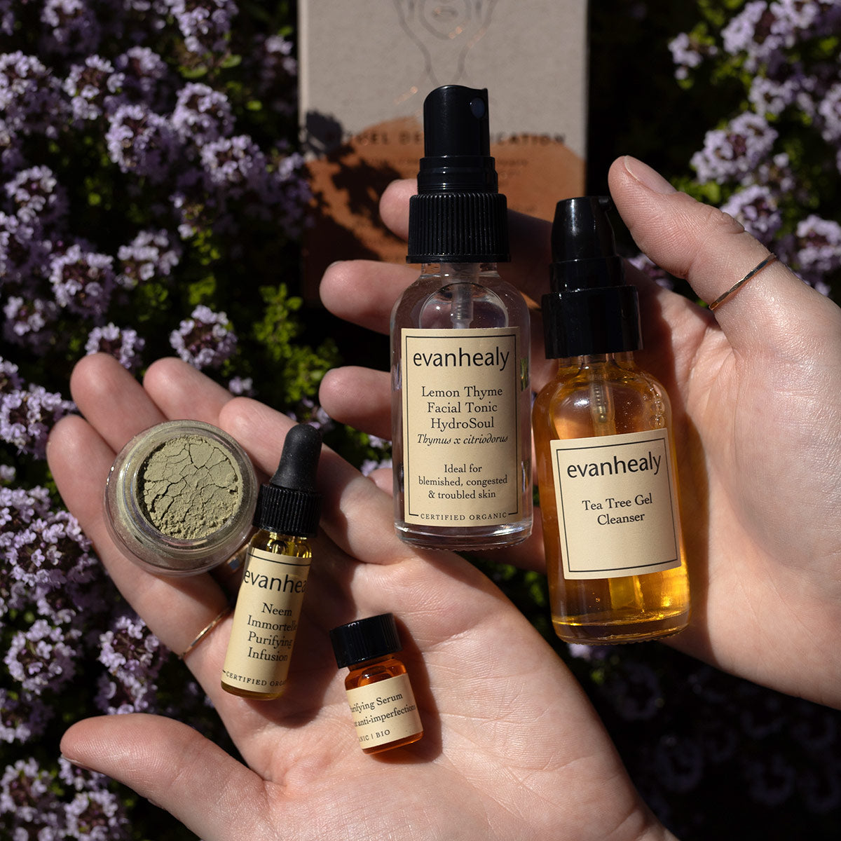 Purifying Ritual (Blemish Line) – evanhealy