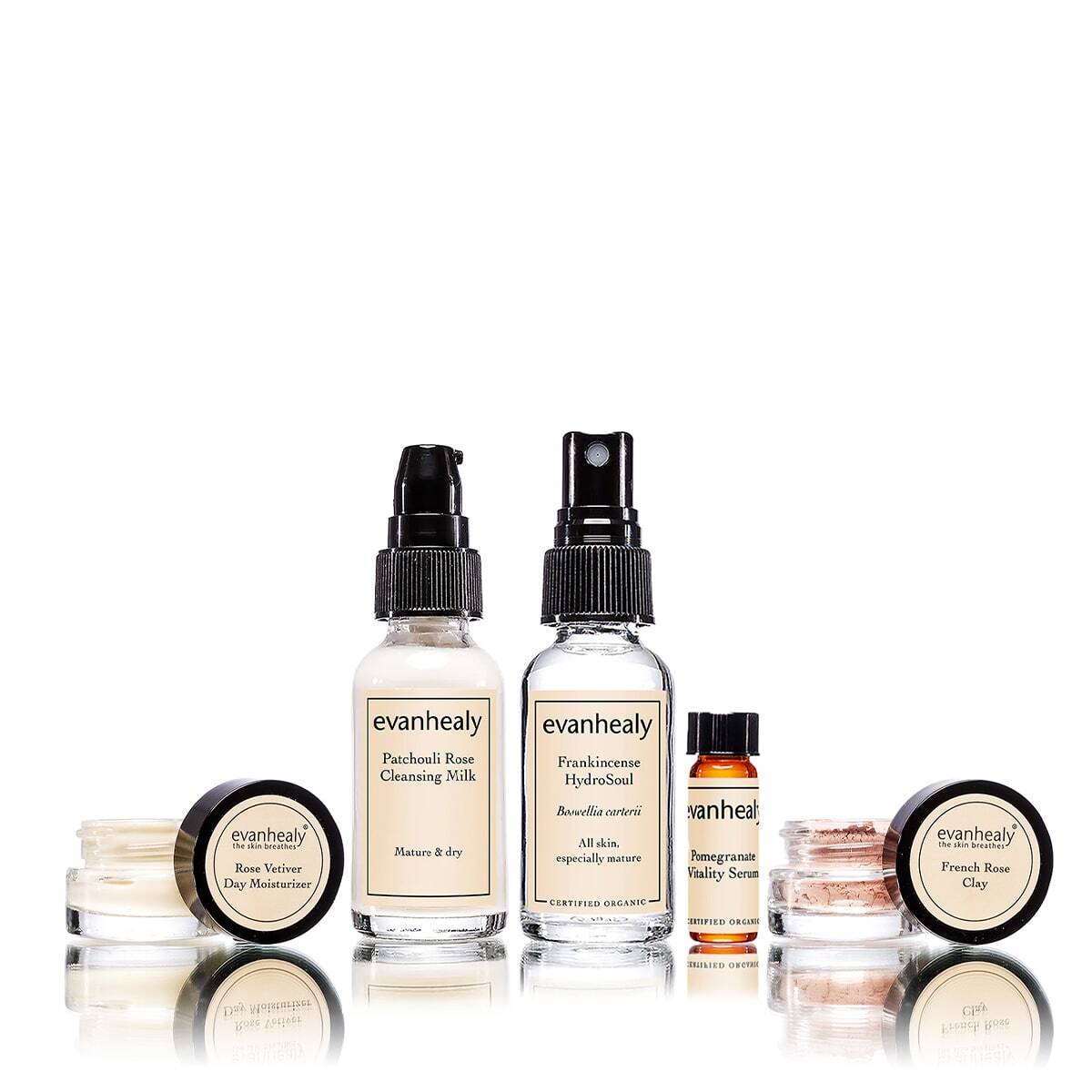 Revitalizing Starter