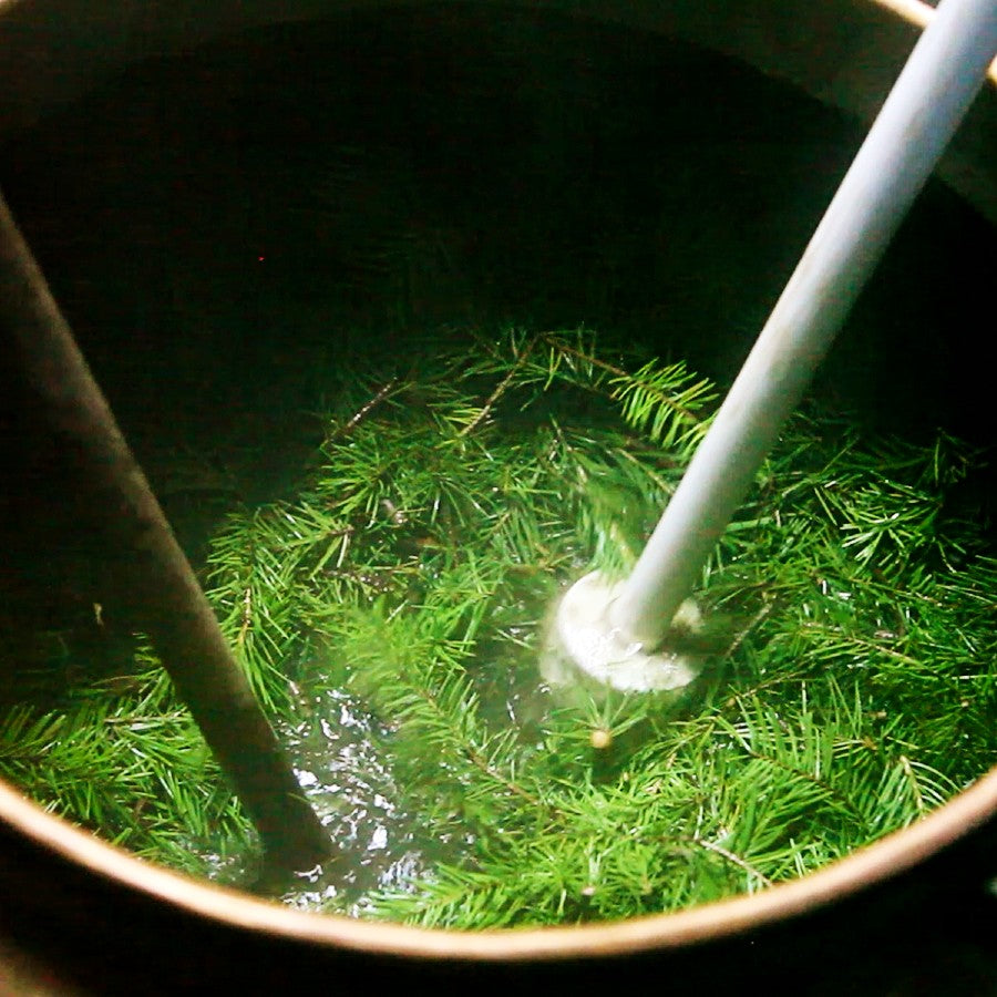 douglas fir pine needles being mixed in alembic copper still to produce facial tonic hydrosol