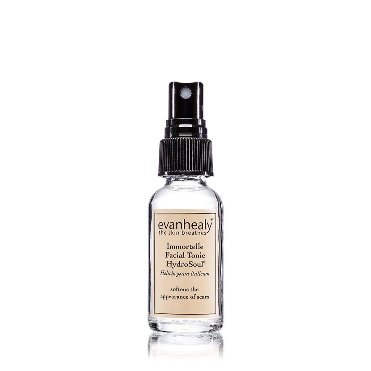 travel size immortelle facial toner in glass bottle with black pump