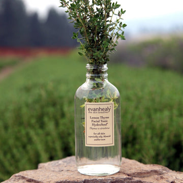 Thyme Leaf - Retail Bottle - Organic | Mountain Rose Herbs