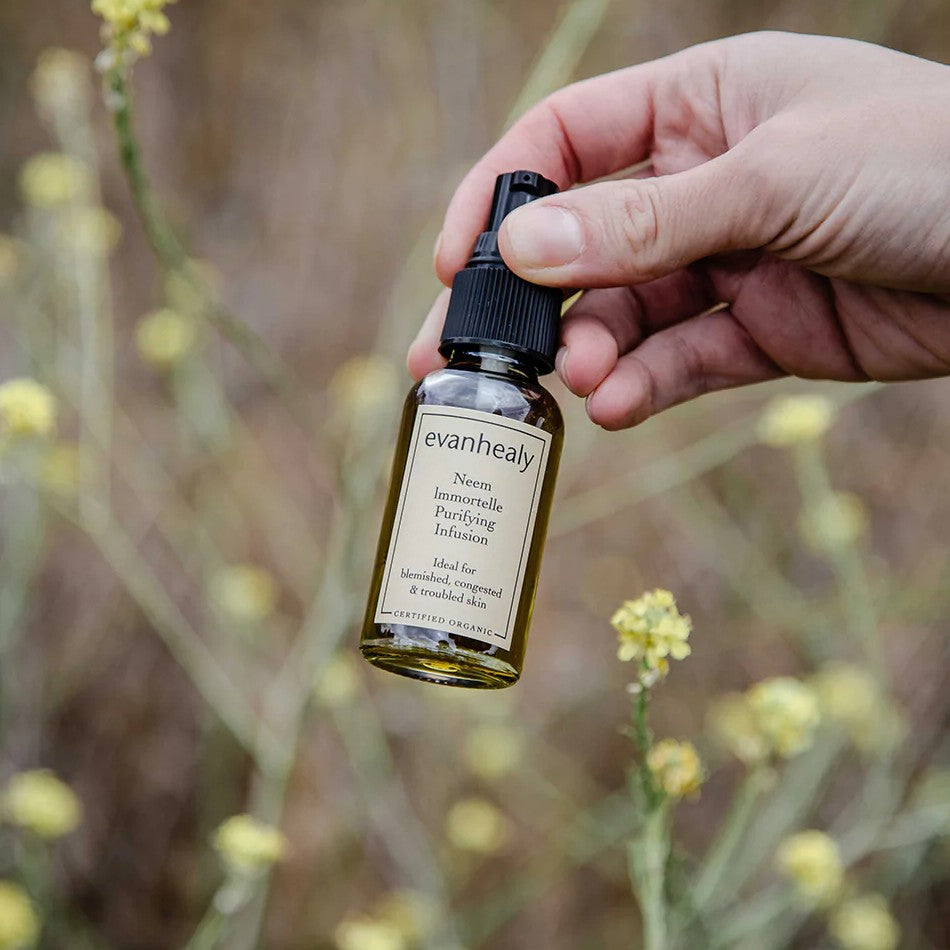 purifying facial oil cleanser in front of immortelle flowers